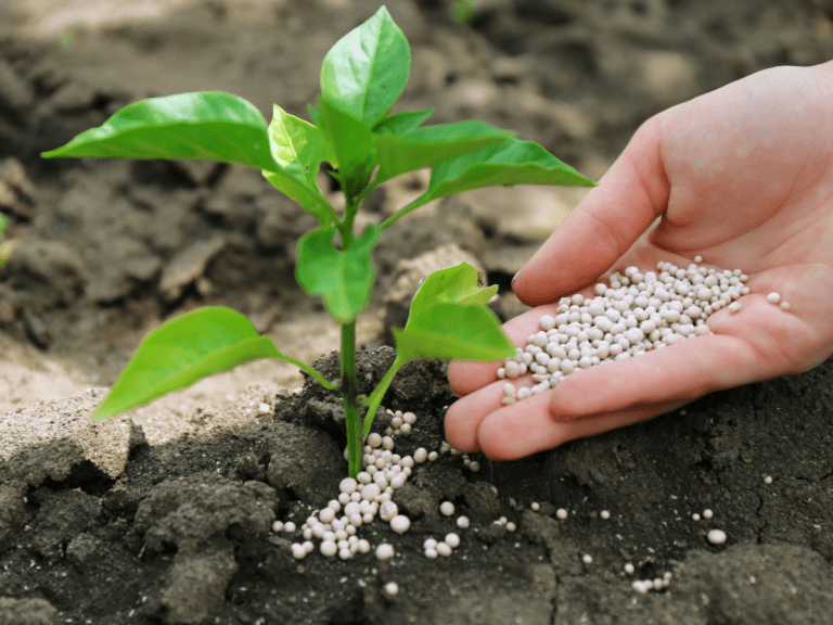 Amino acid fertilizer