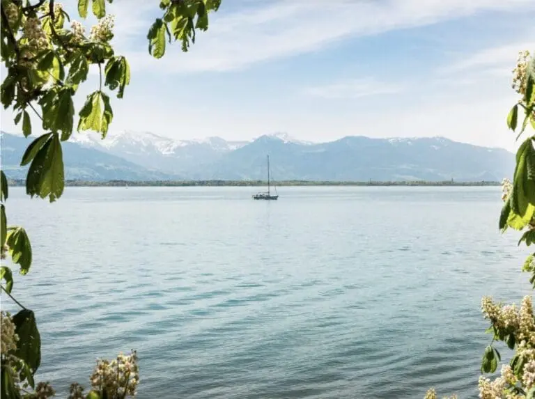 Cations drinking water