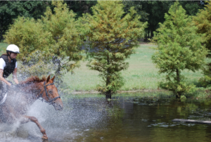 CrossCountryEventing