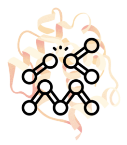 Enzymatic Hydrolysis