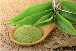 Green Tea Fermentation