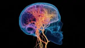 Aminosäuren Aggression