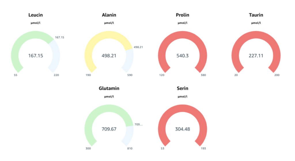 Figure 5: Excerpt from the report; example values and graphical representation for fitness and muscle building.