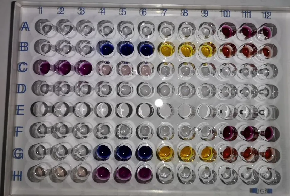 The image shows a multi-well plate with various colored liquid samples in each well, arranged in a