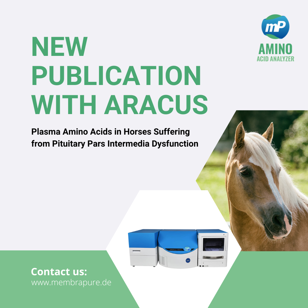 New Publication Aracus