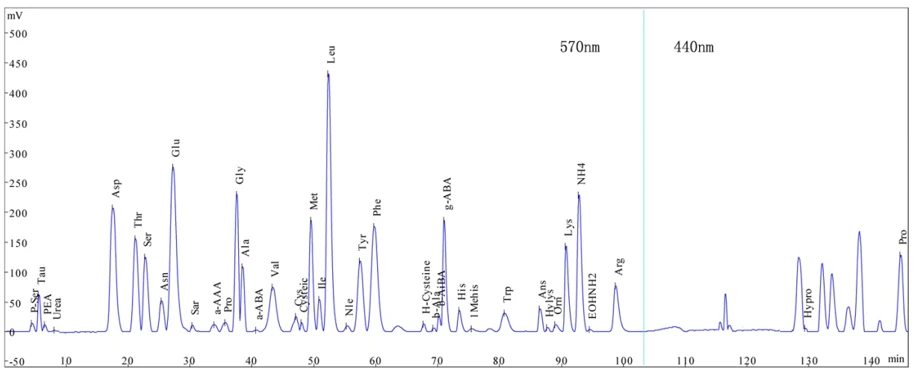 Amino acid analysis chromatogram showing peaks for various amino acids over time.