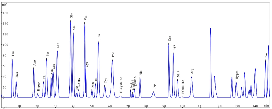 This diagram shows a chromatogram representing the amino acid profile in blood samples. It displays