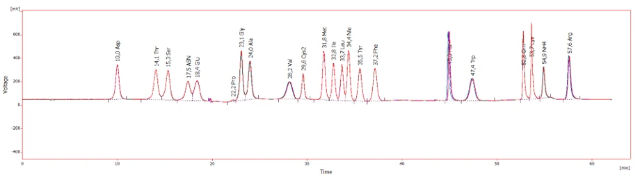 Das Diagramm zeigt die chromatographische Analyse von Aminosäuren in Zellkulturmedien. Es sind