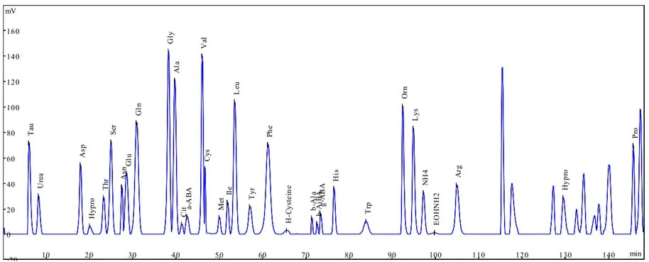 Diagramm der Aminosäureanalyse mit Peaks für verschiedene Aminosäuren über Zeit.
