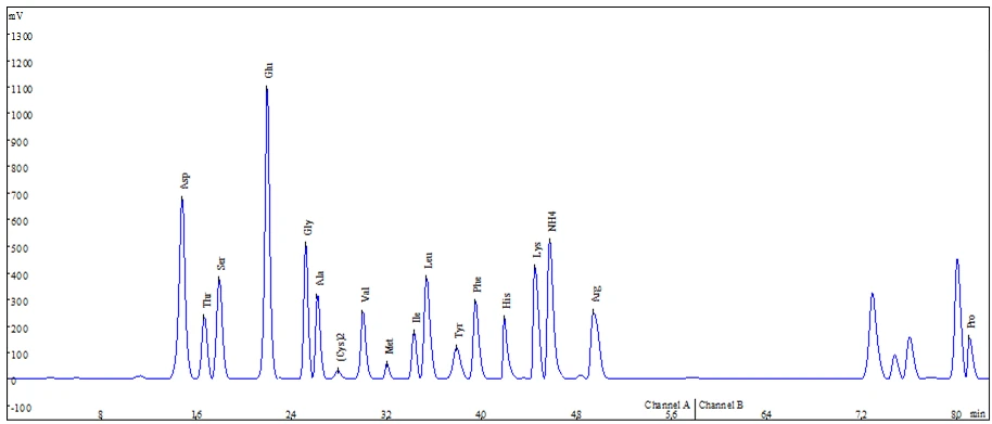This diagram shows a chromatogram with various peaks labeled with amino acid names and their