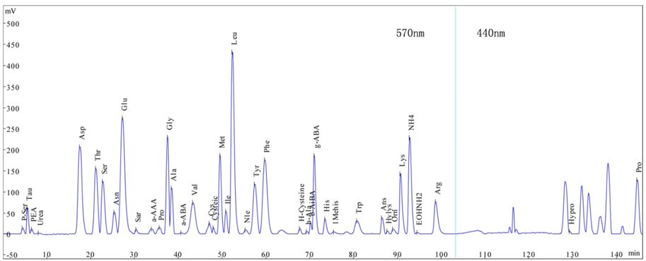 This image has an empty alt attribute; its file name is image-4.png