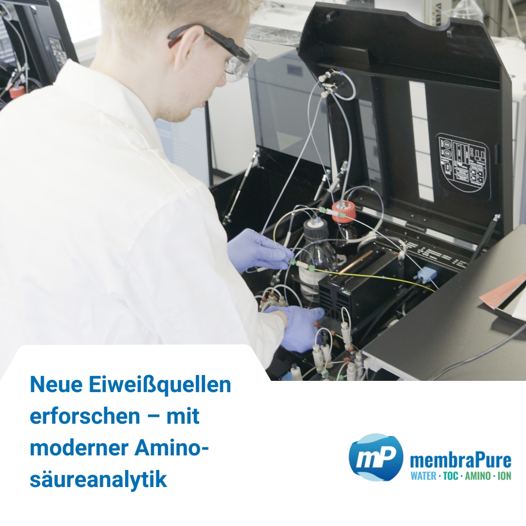 Neue Eiweißquellen erforschen – mit moderner Aminosäureanalytik