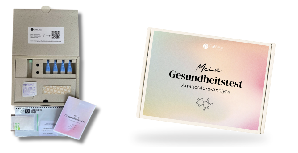 Abbildung 1: Testkit für den Gesundheitstest mit Blutröhrchen, Lanzetten, Alkoholtupfer, Pflaster, Rücksendeumschlag und Testanleitung.